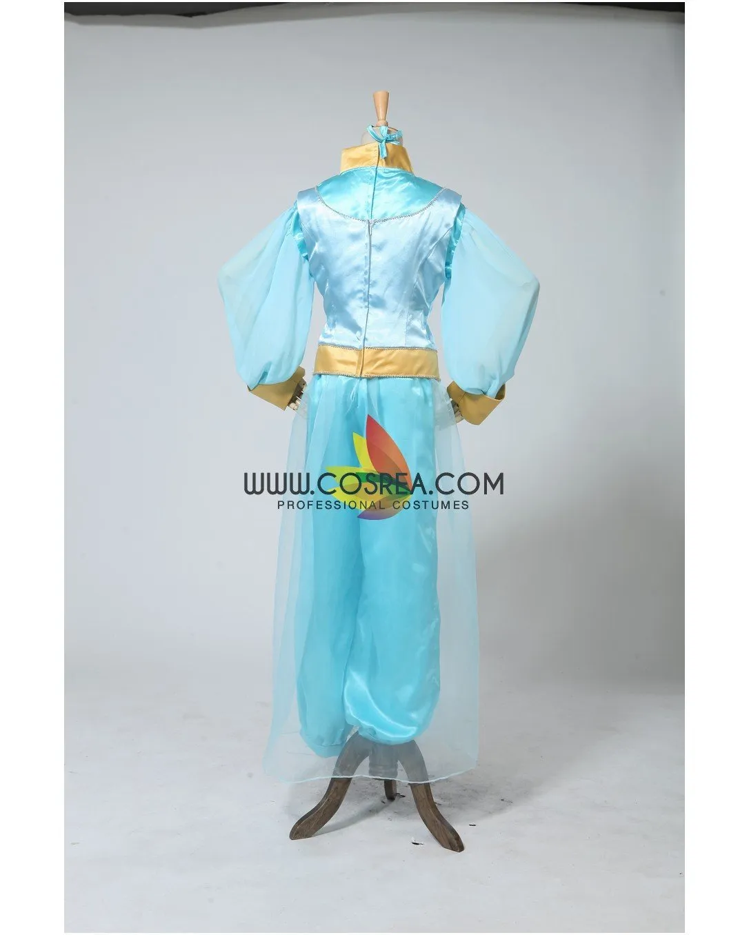 Princess Jasmine Aladdin Satin With Chiffon Sleeves Cosplay Costume